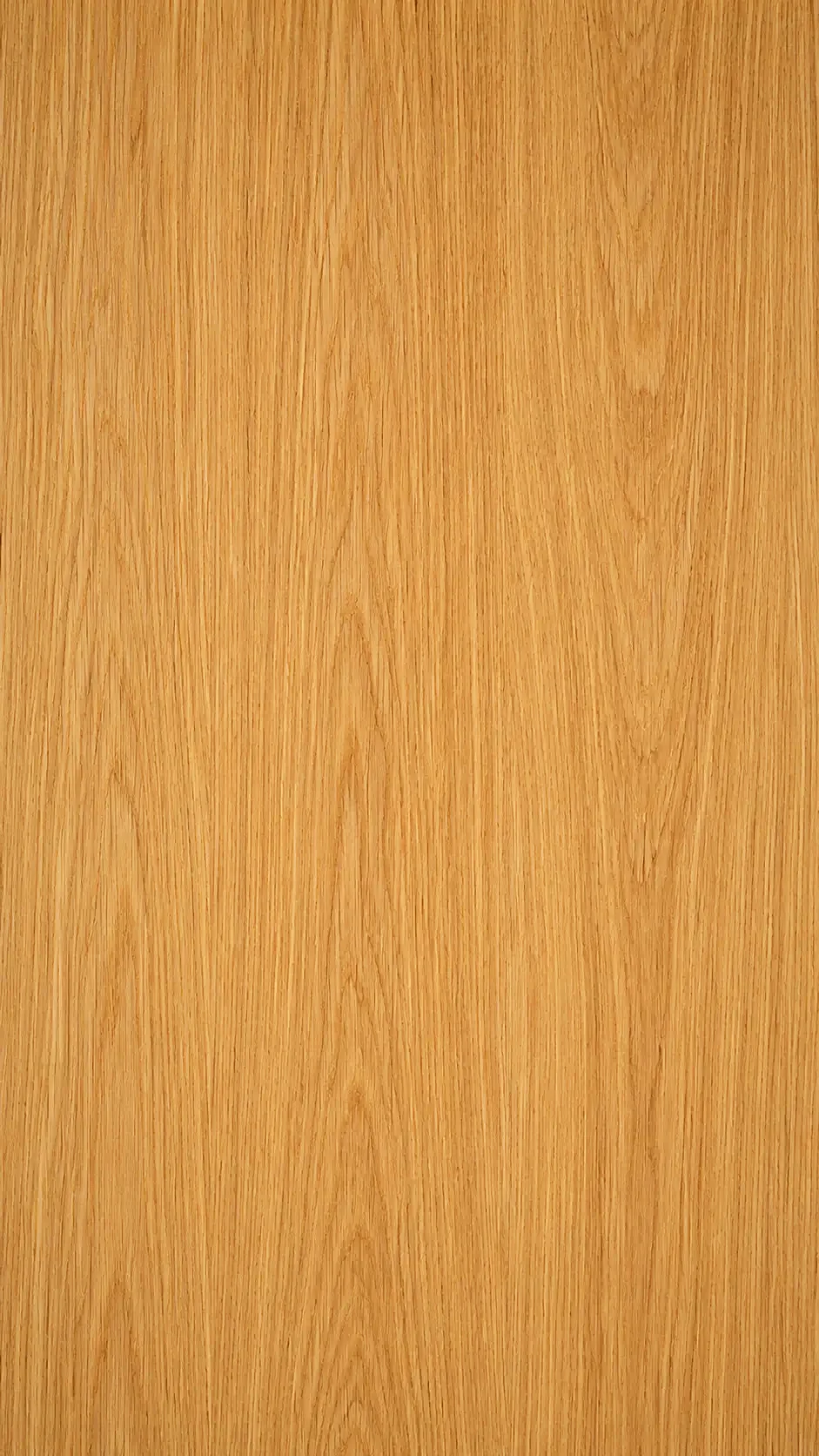 Natural oak veneer sample showing straight grain